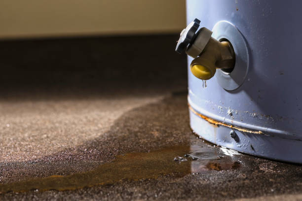 Best Flood restoration services  in Washington Mills, NY