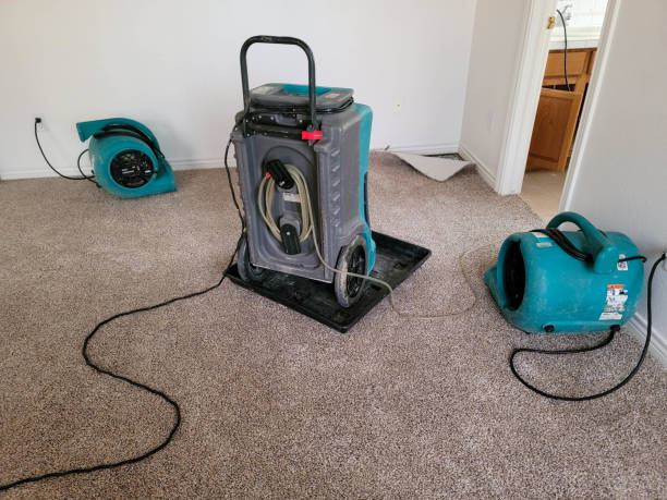 Best Water damage cleanup near me  in Washington Mills, NY