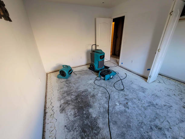 Best Mold removal after water damage  in Washington Mills, NY