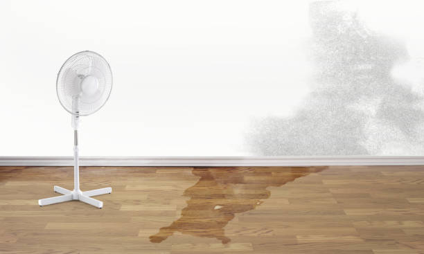 Best Water damage repair service  in Washington Mills, NY