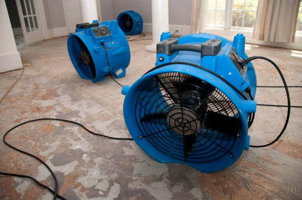 Best Professional water damage repair  in Washington Mills, NY