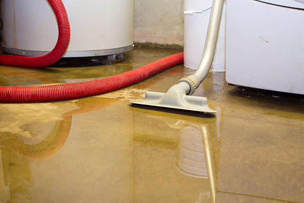 Best Basement water damage restoration  in Washington Mills, NY