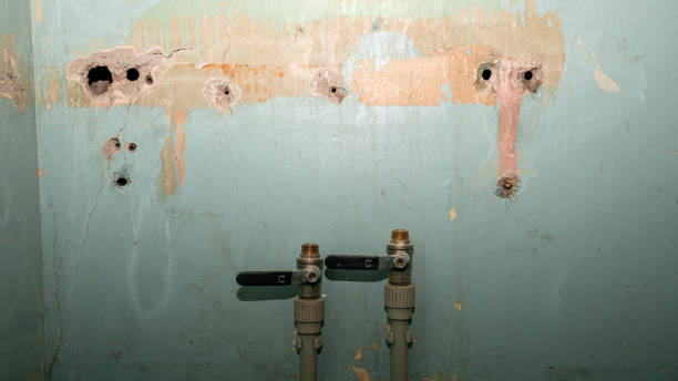 Best Water damage restoration specialists  in Washington Mills, NY