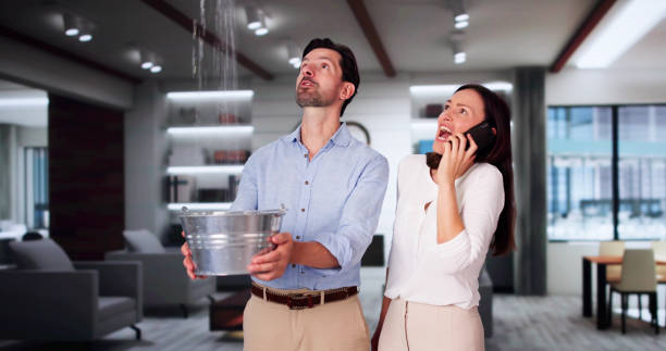 Best Professional water damage repair  in Washington Mills, NY